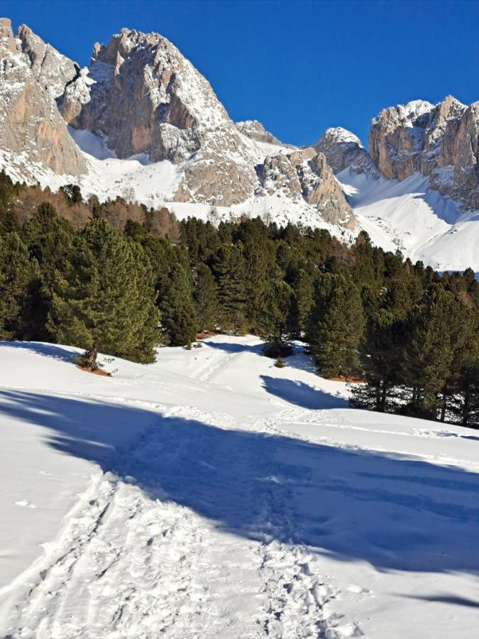 Residence Casa Metz Santa Cristina Val Gardena Εξωτερικό φωτογραφία